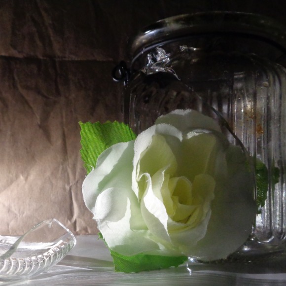 Meet your Posher, Benjamin - Picture 1 of 1